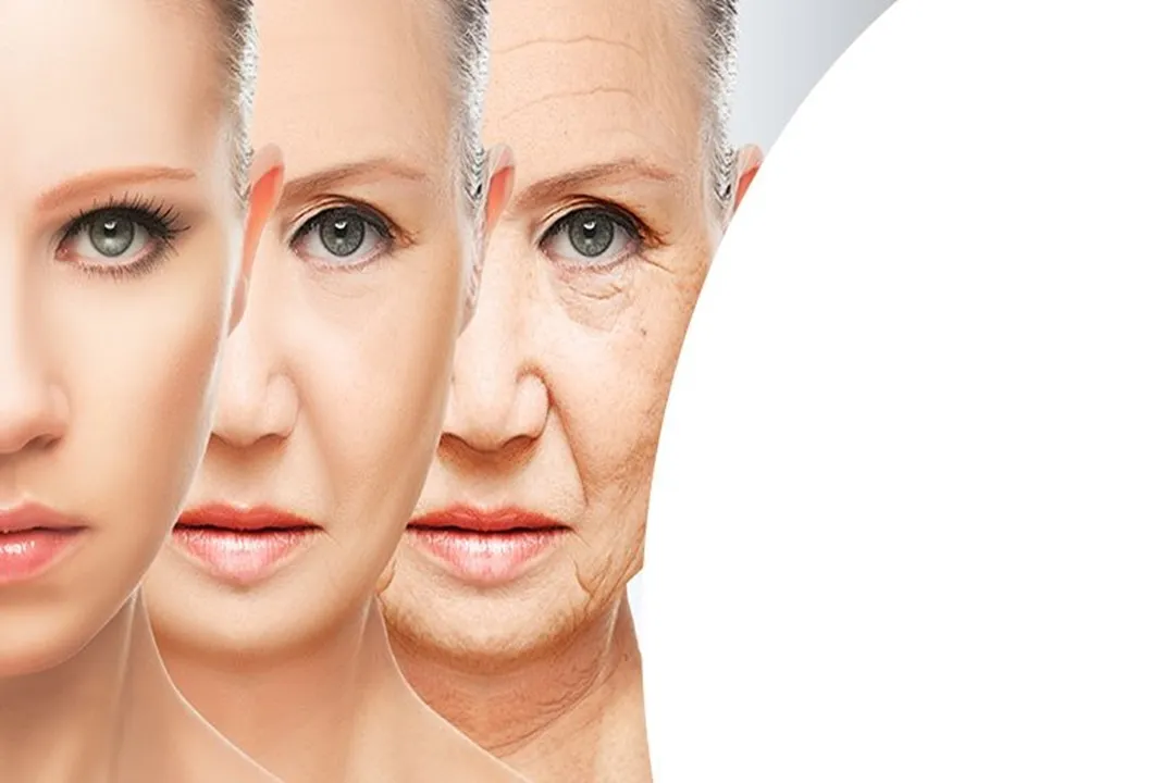 facial skin gradually loses its clarity, firmness, and softness